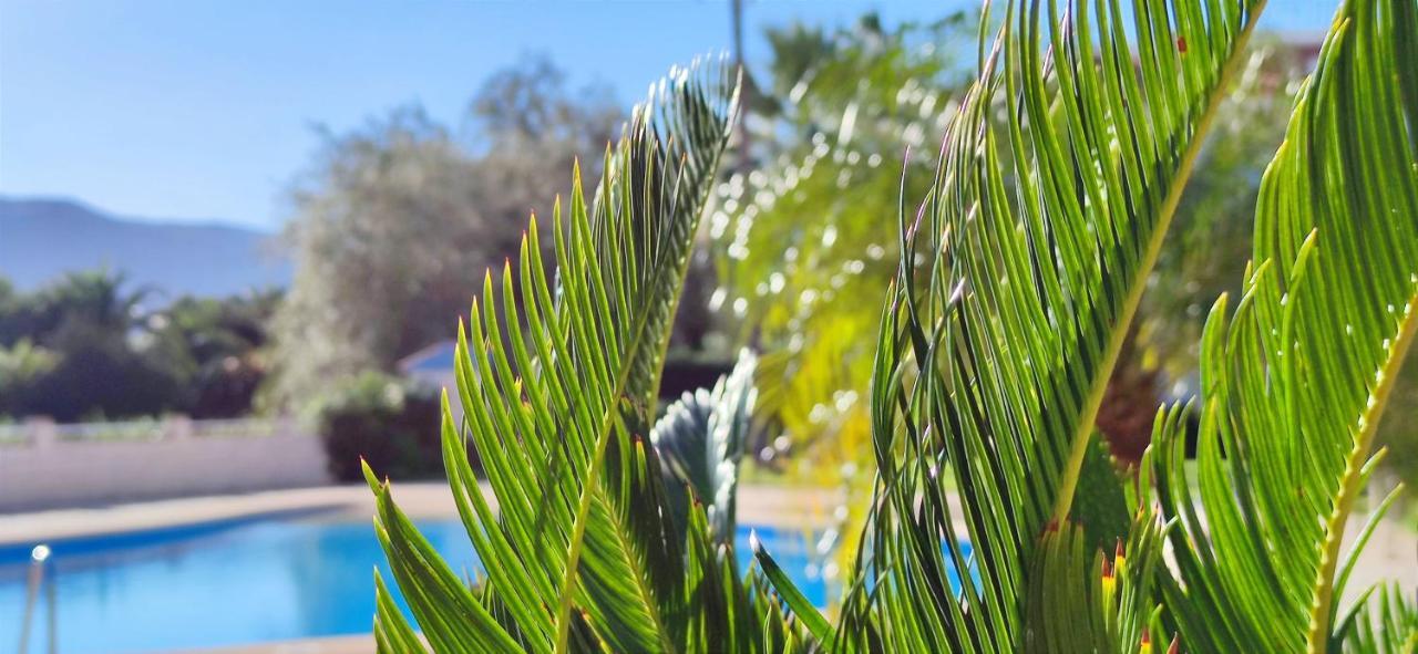 Apartamento Pont Sec By Denia Costa Dış mekan fotoğraf